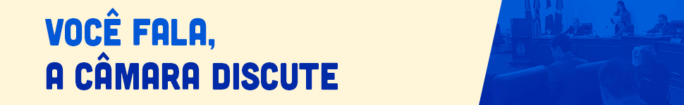 Câmara fev 2026